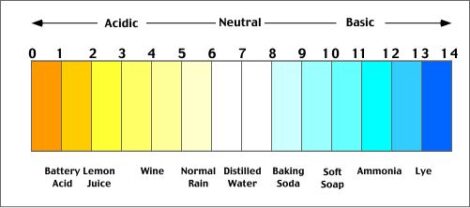 Soil pH: The Simple Guide For Gardeners Image